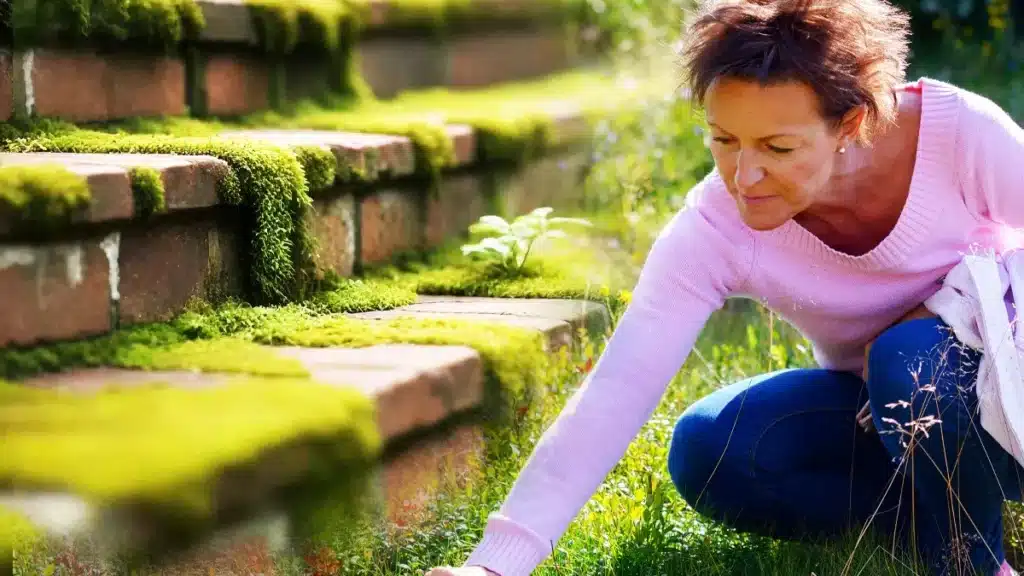 coltivi su un terreno calcareo ecco 4 consigli infallibili per un giardino lussureggiante.jpg