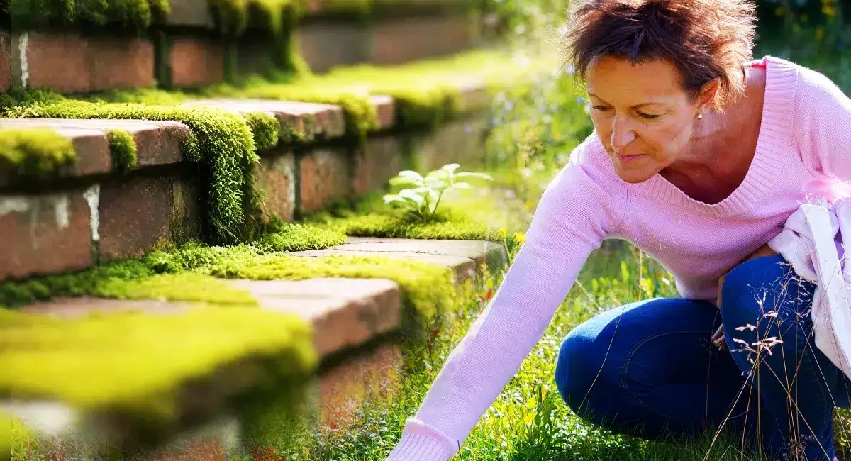 coltivi su un terreno calcareo ecco 4 consigli infallibili per un giardino lussureggiante.jpg