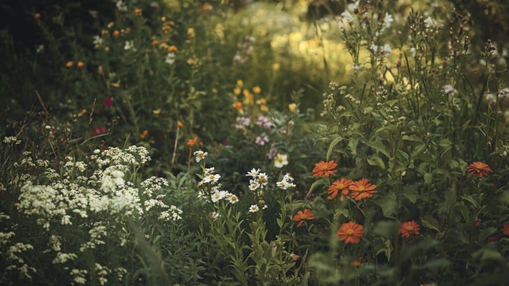 Strategie Essenziali per Attirare le Api nel Tuo Giardino o Orto