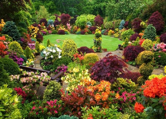 scopri la nostra guida completa per la cura delle piante da giardino. trova consigli utili per scegliere, coltivare e mantenere le tue piante in perfetta salute, rendendo il tuo giardino un paradiso naturale.