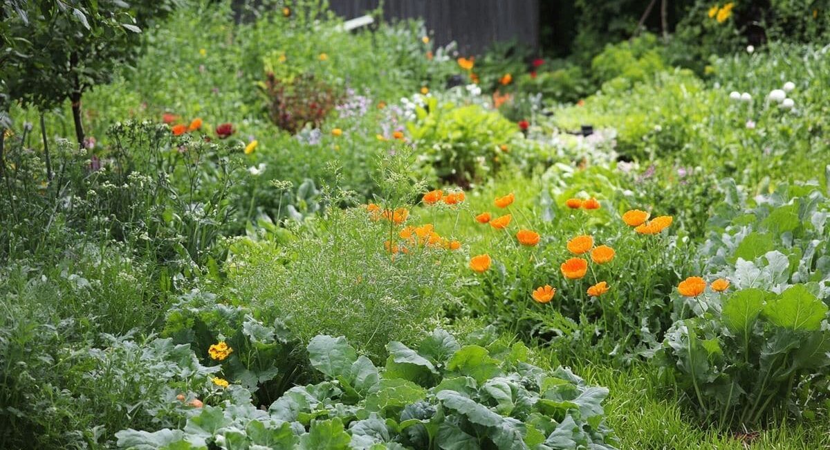 Vivai la natura: scopri i benefici del giardinaggio sostenibile