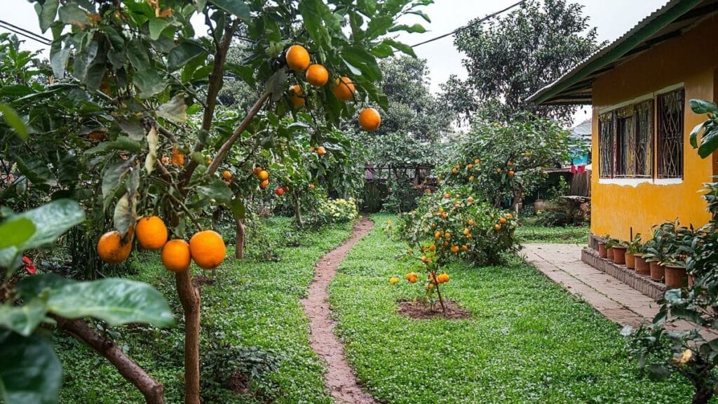 Ecco perché è fondamentale raccogliere i frutti caduti nel giardino quest'autunno