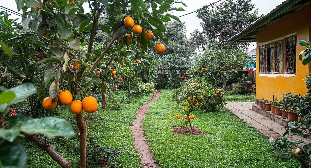 Ecco perché è fondamentale raccogliere i frutti caduti nel giardino quest'autunno