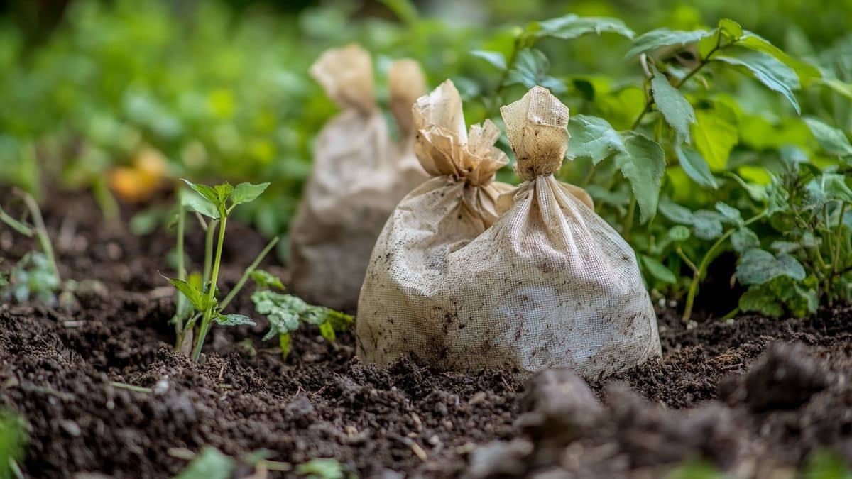 Gestione dei Rifiuti Contaminati