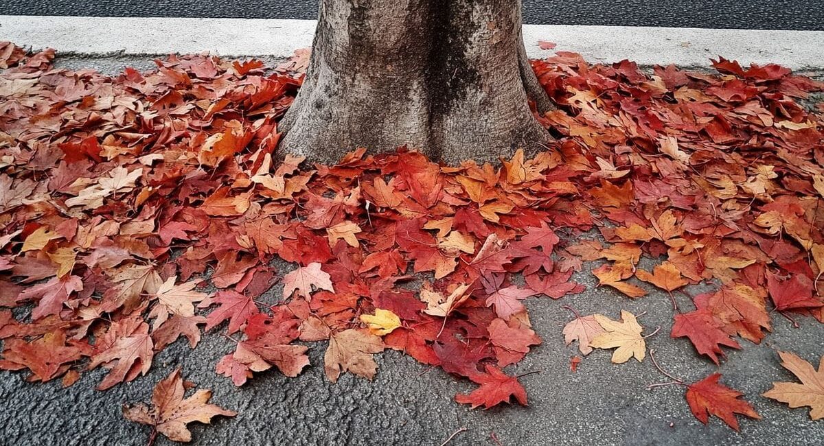 Non potate i vostri alberi in autunno? Scoprite perché non è la scelta migliore!