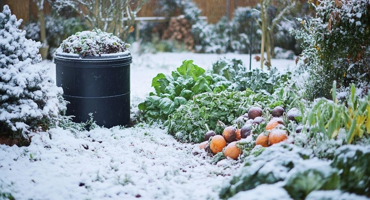 Produzione di compost in inverno: opportunità da cogliere anche sotto la neve