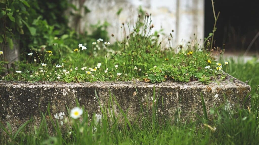 Attenzione: 1500 € di multa in arrivo! Milioni di francesi rischiano di incorrere in sanzioni dimenticando un gesto fondamentale per il giardino nel 2023!