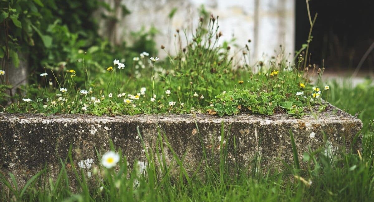 Attenzione: 1500 € di multa in arrivo! Milioni di francesi rischiano di incorrere in sanzioni dimenticando un gesto fondamentale per il giardino nel 2023!