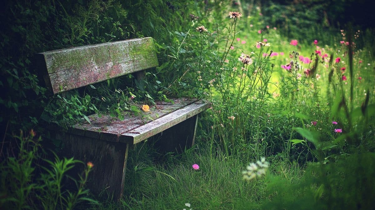 Un rifugio prezioso per la biodiversità